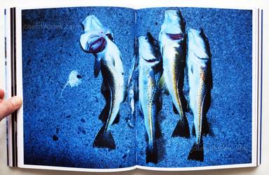 Sample page 17 for book "Various – Various - Journal of Norwegian Photography #2" Sample page 17 for book "Various – Various - Journal of Norwegian Photography #2"