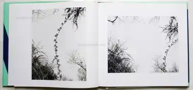 Sample page 12 for book "Gossage, John – John Gossage - The Pond" Sample page 12 for book "Gossage, John – John Gossage - The Pond"