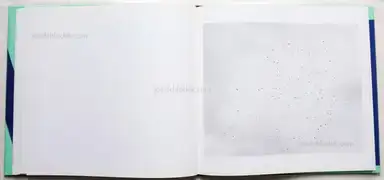 Sample page 3 for book "Gossage, John – John Gossage - The Pond" Sample page 3 for book "Gossage, John – John Gossage - The Pond"