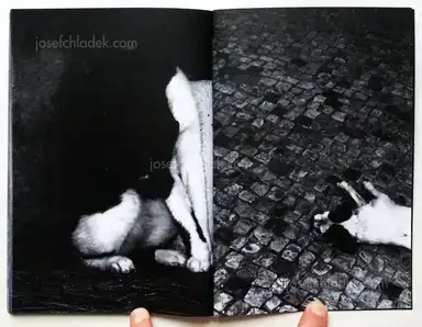 Sample page 1 for book "Roque, Fabio Miguel – Fábio Miguel Roque - South" Sample page 1 for book "Roque, Fabio Miguel – Fábio Miguel Roque - South"