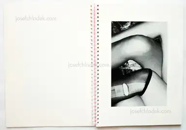 Sample page 13 for book "McElroy, Aaron – Aaron McElroy - Candy" Sample page 13 for book "McElroy, Aaron – Aaron McElroy - Candy"