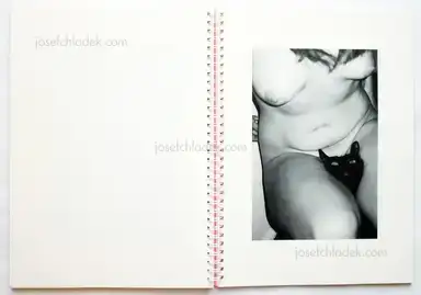 Sample page 6 for book "McElroy, Aaron – Aaron McElroy - Candy" Sample page 6 for book "McElroy, Aaron – Aaron McElroy - Candy"