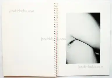 Sample page 2 for book "McElroy, Aaron – Aaron McElroy - Candy" Sample page 2 for book "McElroy, Aaron – Aaron McElroy - Candy"