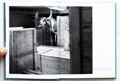 Sample page 12 for book "Bergendal, Nils – Nils Bergendal - The Name of Us" Sample page 12 for book "Bergendal, Nils – Nils Bergendal - The Name of Us"