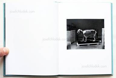Sample page 3 for book  Nils Bergendal – The Name of Us