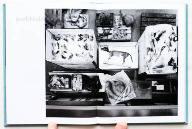 Sample page 7 for book "Bergendal, Nils – Nils Bergendal - The Name of Us" Sample page 7 for book "Bergendal, Nils – Nils Bergendal - The Name of Us"