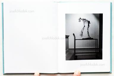 Sample page 2 for book "Bergendal, Nils – Nils Bergendal - The Name of Us" Sample page 2 for book "Bergendal, Nils – Nils Bergendal - The Name of Us"