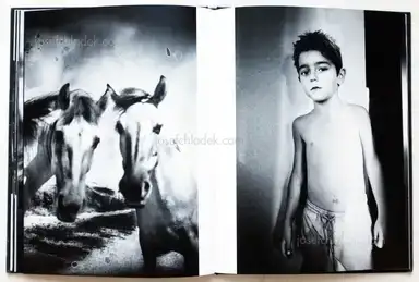 Sample page 3 for book "Sevincli, Yusuf – Yusuf Sevincli - Good Dog" Sample page 3 for book "Sevincli, Yusuf – Yusuf Sevincli - Good Dog"