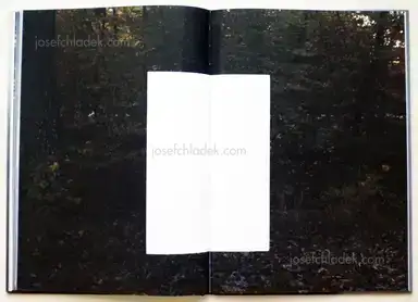 Sample page 4 for book "Peschek, Christiane – Christiane Peschek - Invisibles" Sample page 4 for book "Peschek, Christiane – Christiane Peschek - Invisibles"