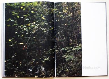 Sample page 2 for book "Peschek, Christiane – Christiane Peschek - Invisibles" Sample page 2 for book "Peschek, Christiane – Christiane Peschek - Invisibles"