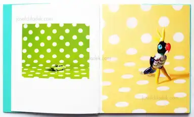 Sample page 12 for book "Maximova, Eugenia – Eugenia Maximova - Associated Nostalgia" Sample page 12 for book "Maximova, Eugenia – Eugenia Maximova - Associated Nostalgia"