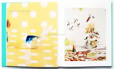 Sample page 11 for book "Maximova, Eugenia – Eugenia Maximova - Associated Nostalgia" Sample page 11 for book "Maximova, Eugenia – Eugenia Maximova - Associated Nostalgia"