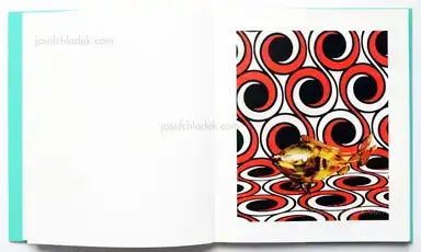 Sample page 9 for book "Maximova, Eugenia – Eugenia Maximova - Associated Nostalgia" Sample page 9 for book "Maximova, Eugenia – Eugenia Maximova - Associated Nostalgia"