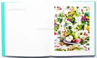 Sample page 8 for book "Maximova, Eugenia – Eugenia Maximova - Associated Nostalgia" Sample page 8 for book "Maximova, Eugenia – Eugenia Maximova - Associated Nostalgia"