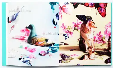 Sample page 7 for book "Maximova, Eugenia – Eugenia Maximova - Associated Nostalgia" Sample page 7 for book "Maximova, Eugenia – Eugenia Maximova - Associated Nostalgia"