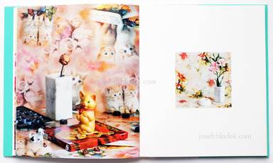 Sample page 6 for book "Maximova, Eugenia – Eugenia Maximova - Associated Nostalgia" Sample page 6 for book "Maximova, Eugenia – Eugenia Maximova - Associated Nostalgia"