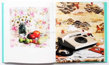 Sample page 3 for book "Maximova, Eugenia – Eugenia Maximova - Associated Nostalgia" Sample page 3 for book "Maximova, Eugenia – Eugenia Maximova - Associated Nostalgia"