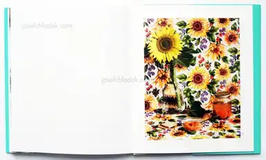 Sample page 2 for book "Maximova, Eugenia – Eugenia Maximova - Associated Nostalgia" Sample page 2 for book "Maximova, Eugenia – Eugenia Maximova - Associated Nostalgia"