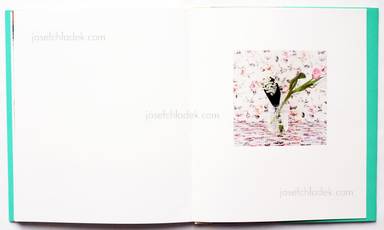 Sample page 1 for book "Maximova, Eugenia – Eugenia Maximova - Associated Nostalgia" Sample page 1 for book "Maximova, Eugenia – Eugenia Maximova - Associated Nostalgia"