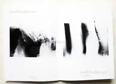 Sample page 5 for book "Pin-Fat, Olivier – Olivier Pin-Fat - Dead Light" Sample page 5 for book "Pin-Fat, Olivier – Olivier Pin-Fat - Dead Light"