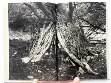 Sample page 9 for book "Gasull, Martí & Danés, Salvi & Quintanas, Yurian – Martí Gasull, Yurian Quintanas & Salvi Danés - Origen" Sample page 9 for book "Gasull, Martí & Danés, Salvi & Quintanas, Yurian – Martí Gasull, Yurian Quintanas & Salvi Danés - Origen"