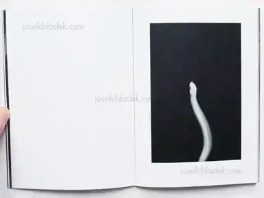 Sample page 8 for book "Block, Anna – Anna Block - Waters Break Rocks" Sample page 8 for book "Block, Anna – Anna Block - Waters Break Rocks"