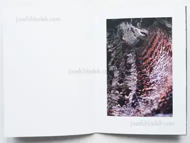 Sample page 2 for book "Block, Anna – Anna Block - Waters Break Rocks" Sample page 2 for book "Block, Anna – Anna Block - Waters Break Rocks"