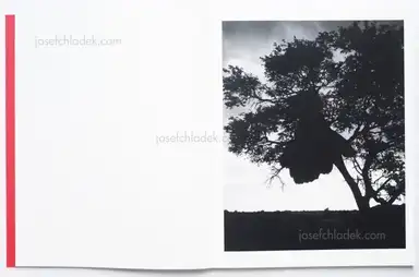 Sample page 17 for book "Goiris, Geert – Geert Goiris - Prolifération" Sample page 17 for book "Goiris, Geert – Geert Goiris - Prolifération"