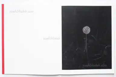 Sample page 16 for book "Goiris, Geert – Geert Goiris - Prolifération" Sample page 16 for book "Goiris, Geert – Geert Goiris - Prolifération"