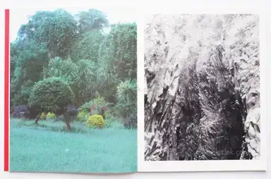 Sample page 13 for book "Goiris, Geert – Geert Goiris - Prolifération" Sample page 13 for book "Goiris, Geert – Geert Goiris - Prolifération"