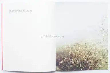 Sample page 3 for book "Goiris, Geert – Geert Goiris - Prolifération" Sample page 3 for book "Goiris, Geert – Geert Goiris - Prolifération"