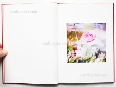 Sample page 11 for book "Usui, Kazuyoshi – Kazuyoshi Usui - Showa 92 / 昭和92年" Sample page 11 for book "Usui, Kazuyoshi – Kazuyoshi Usui - Showa 92 / 昭和92年"