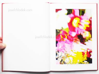 Sample page 3 for book  Kazuyoshi Usui – Showa 92 / 昭和92年