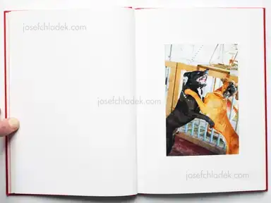 Sample page 9 for book "Usui, Kazuyoshi – Kazuyoshi Usui - Showa 92 / 昭和92年" Sample page 9 for book "Usui, Kazuyoshi – Kazuyoshi Usui - Showa 92 / 昭和92年"