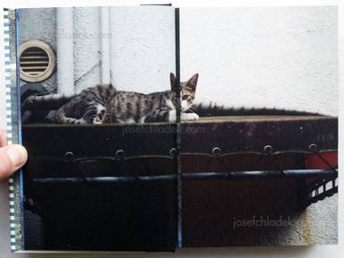 Sample page 19 for book "Yokokawa, Tatsuyuki (Papa-Chat Yokokawa) – Tatsuyuki Yokokawa (Papa-Chat Yokokawa) - Tokyo a Raies (横川辰之 東京ストライプ) ." Sample page 19 for book "Yokokawa, Tatsuyuki (Papa-Chat Yokokawa) – Tatsuyuki Yokokawa (Papa-Chat Yokokawa) - Tokyo a Raies (横川辰之 東京ストライプ) ."