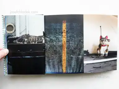 Sample page 18 for book "Yokokawa, Tatsuyuki (Papa-Chat Yokokawa) – Tatsuyuki Yokokawa (Papa-Chat Yokokawa) - Tokyo a Raies (横川辰之 東京ストライプ) ." Sample page 18 for book "Yokokawa, Tatsuyuki (Papa-Chat Yokokawa) – Tatsuyuki Yokokawa (Papa-Chat Yokokawa) - Tokyo a Raies (横川辰之 東京ストライプ) ."