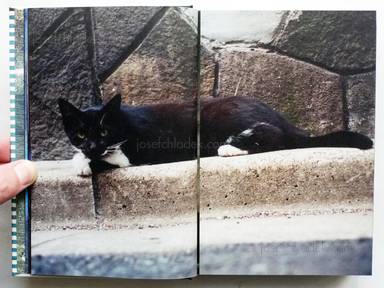 Sample page 17 for book "Yokokawa, Tatsuyuki (Papa-Chat Yokokawa) – Tatsuyuki Yokokawa (Papa-Chat Yokokawa) - Tokyo a Raies (横川辰之 東京ストライプ) ." Sample page 17 for book "Yokokawa, Tatsuyuki (Papa-Chat Yokokawa) – Tatsuyuki Yokokawa (Papa-Chat Yokokawa) - Tokyo a Raies (横川辰之 東京ストライプ) ."