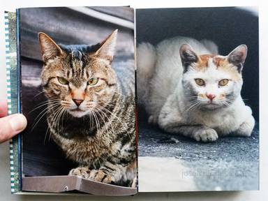 Sample page 16 for book "Yokokawa, Tatsuyuki (Papa-Chat Yokokawa) – Tatsuyuki Yokokawa (Papa-Chat Yokokawa) - Tokyo a Raies (横川辰之 東京ストライプ) ." Sample page 16 for book "Yokokawa, Tatsuyuki (Papa-Chat Yokokawa) – Tatsuyuki Yokokawa (Papa-Chat Yokokawa) - Tokyo a Raies (横川辰之 東京ストライプ) ."