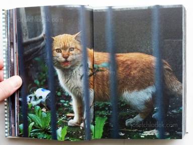 Sample page 14 for book "Yokokawa, Tatsuyuki (Papa-Chat Yokokawa) – Tatsuyuki Yokokawa (Papa-Chat Yokokawa) - Tokyo a Raies (横川辰之 東京ストライプ) ." Sample page 14 for book "Yokokawa, Tatsuyuki (Papa-Chat Yokokawa) – Tatsuyuki Yokokawa (Papa-Chat Yokokawa) - Tokyo a Raies (横川辰之 東京ストライプ) ."