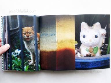 Sample page 13 for book "Yokokawa, Tatsuyuki (Papa-Chat Yokokawa) – Tatsuyuki Yokokawa (Papa-Chat Yokokawa) - Tokyo a Raies (横川辰之 東京ストライプ) ." Sample page 13 for book "Yokokawa, Tatsuyuki (Papa-Chat Yokokawa) – Tatsuyuki Yokokawa (Papa-Chat Yokokawa) - Tokyo a Raies (横川辰之 東京ストライプ) ."