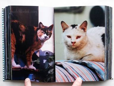 Sample page 12 for book "Yokokawa, Tatsuyuki (Papa-Chat Yokokawa) – Tatsuyuki Yokokawa (Papa-Chat Yokokawa) - Tokyo a Raies (横川辰之 東京ストライプ) ." Sample page 12 for book "Yokokawa, Tatsuyuki (Papa-Chat Yokokawa) – Tatsuyuki Yokokawa (Papa-Chat Yokokawa) - Tokyo a Raies (横川辰之 東京ストライプ) ."