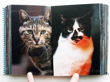 Sample page 10 for book "Yokokawa, Tatsuyuki (Papa-Chat Yokokawa) – Tatsuyuki Yokokawa (Papa-Chat Yokokawa) - Tokyo a Raies (横川辰之 東京ストライプ) ." Sample page 10 for book "Yokokawa, Tatsuyuki (Papa-Chat Yokokawa) – Tatsuyuki Yokokawa (Papa-Chat Yokokawa) - Tokyo a Raies (横川辰之 東京ストライプ) ."