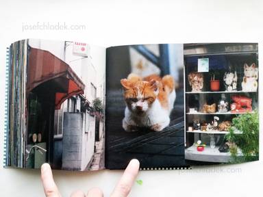 Sample page 3 for book "Yokokawa, Tatsuyuki (Papa-Chat Yokokawa) – Tatsuyuki Yokokawa (Papa-Chat Yokokawa) - Tokyo a Raies (横川辰之 東京ストライプ) ." Sample page 3 for book "Yokokawa, Tatsuyuki (Papa-Chat Yokokawa) – Tatsuyuki Yokokawa (Papa-Chat Yokokawa) - Tokyo a Raies (横川辰之 東京ストライプ) ."