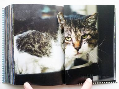 Sample page 2 for book "Yokokawa, Tatsuyuki (Papa-Chat Yokokawa) – Tatsuyuki Yokokawa (Papa-Chat Yokokawa) - Tokyo a Raies (横川辰之 東京ストライプ) ." Sample page 2 for book "Yokokawa, Tatsuyuki (Papa-Chat Yokokawa) – Tatsuyuki Yokokawa (Papa-Chat Yokokawa) - Tokyo a Raies (横川辰之 東京ストライプ) ."