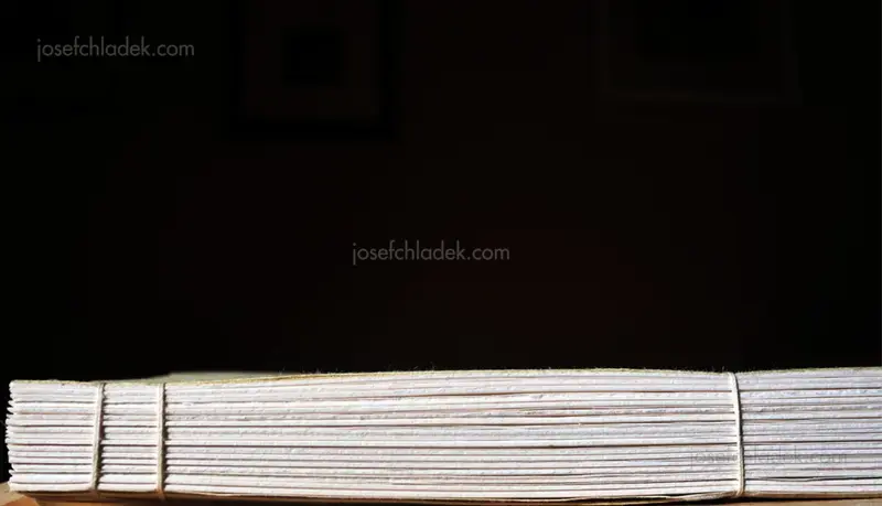 David Mondedeu - Fugue of the Blackbird - Spread 31