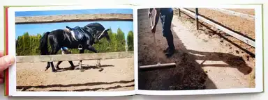 Sample page 9 for book "Blesa, Jesús – Jesús Blesa - Camino Viejo" Sample page 9 for book "Blesa, Jesús – Jesús Blesa - Camino Viejo"