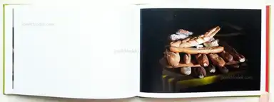 Sample page 3 for book "Blesa, Jesús – Jesús Blesa - Camino Viejo" Sample page 3 for book "Blesa, Jesús – Jesús Blesa - Camino Viejo"