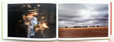 Sample page 2 for book "Blesa, Jesús – Jesús Blesa - Camino Viejo" Sample page 2 for book "Blesa, Jesús – Jesús Blesa - Camino Viejo"