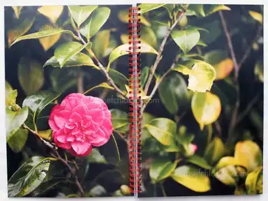 Sample page 12 for book "Shelton, Ann – Ann Shelton - A Spoonful of Sugar" Sample page 12 for book "Shelton, Ann – Ann Shelton - A Spoonful of Sugar"