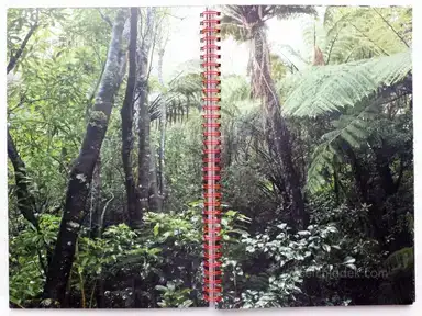 Sample page 10 for book "Shelton, Ann – Ann Shelton - A Spoonful of Sugar" Sample page 10 for book "Shelton, Ann – Ann Shelton - A Spoonful of Sugar"